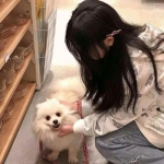 巴雄天下之升官发财破解版下载